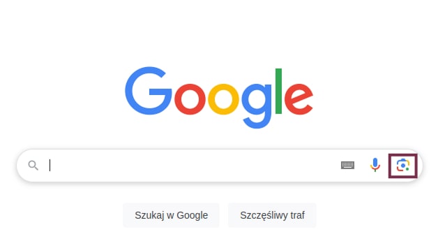 strona wyszukiwarki google