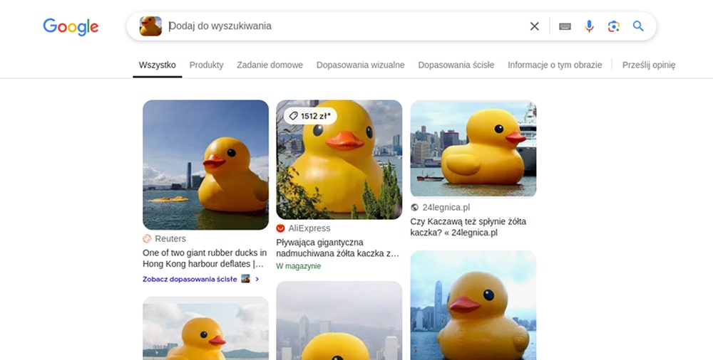 ekran wyszukiwania google grafika na desktopie