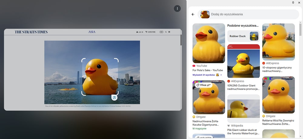 ekran wyszukiwania przy pomocy Obiektywu Google (Google Lens)